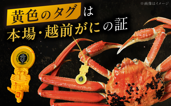 【先行予約/11月18日より順次配送】越前がに 700g×2杯 茹で 福井県産ズワイガニ / かに カニ 蟹 越前ガニ ズワイガニ ボイル / 小浜市 / 一進わかさ【配送不可地域：北海道・沖縄・離島
