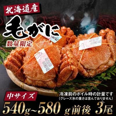 ふるさと納税 白老町 【浜ゆで自社タグ付】北海道産ボイル毛ガニ540g〜580g前後×3尾