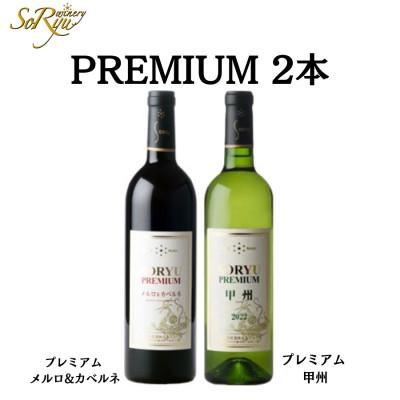 ふるさと納税 甲州市 「蒼龍葡萄酒」PREMIUMワインギフトセット　B2661