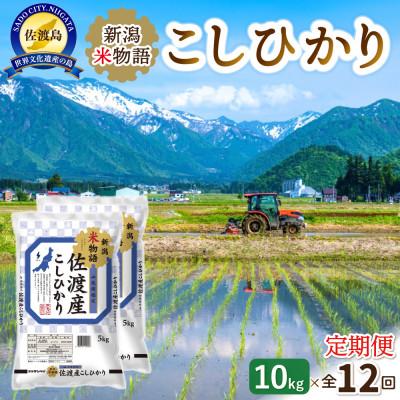 ふるさと納税 佐渡市 【毎月定期便】新潟米物語佐渡産コシヒカリ10kg(5kg×2)全12回
