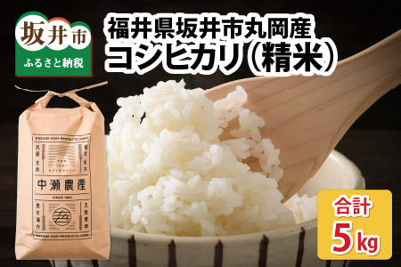 【令和6年産・新米】 福井県坂井市丸岡町産 コシヒカリ 計5kg（精米）  [A-11307_03]