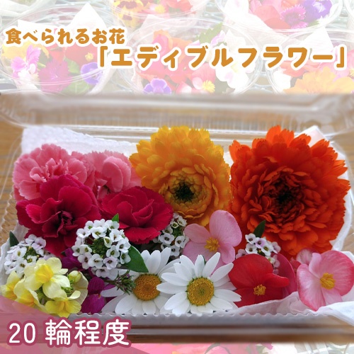 食べられるお花「エディブルフラワー」