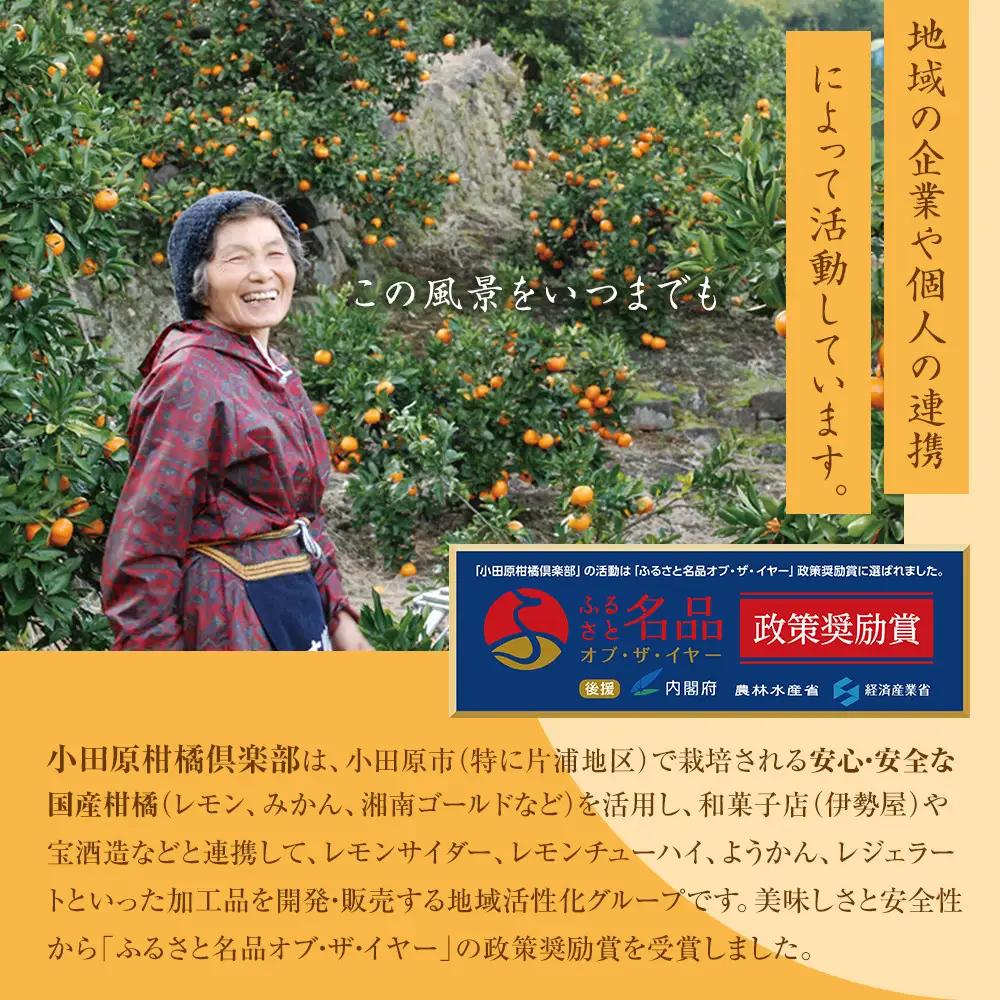 【小田原の柑橘果汁を使ったドロップ3種類セット】口に入れるとフルーツの香りが広がるドロップ。【 ドロップ 神奈川県 小田原市 ドロップ】