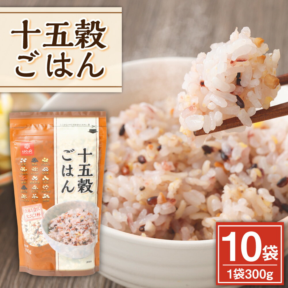 【ふるさと納税】十五穀ごはん 計3kg（300g×10袋） 十五種類 穀物 ひき割り大豆 雑穀ごはん 雑穀米 お米 白麦 黒米 発芽赤米 発芽玄米 ごはん ご飯 国産 山梨県 中央市 送料無料