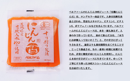 6ヵ月連続 にんじんジュース 100% 100g×30袋 人参ジュース