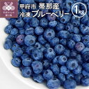 【ふるさと納税】 ブルーベリー 冷凍 1kg 1パック 甲府市 帯那産 完熟 期間限定 数量限定 k218-001