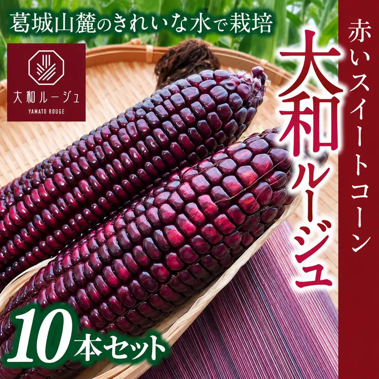 とうもろこし  先行予約 奈良県産 大和ルージュ 計10本 令和8年産 【2026年7月中旬～10月中旬順次発送】 葛城市【smlk037】