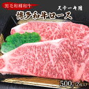 【ふるさと納税】【数量限定】博多和牛ロースステーキ用(2枚入/500g)【009-0010】