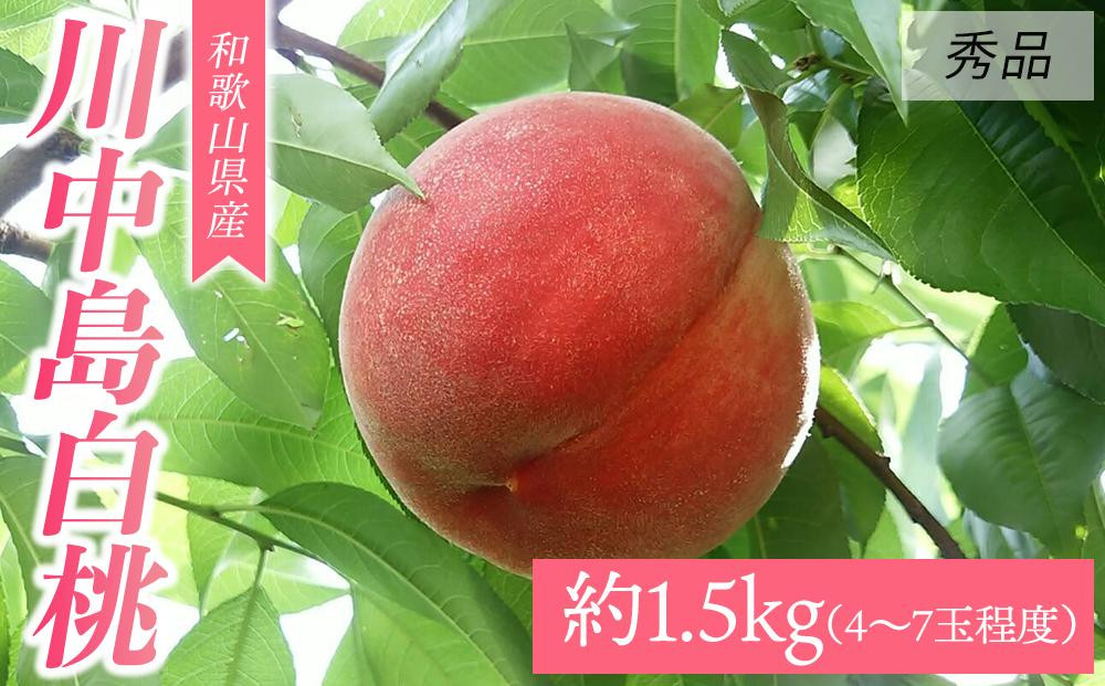 
            和歌山県産 川中島白桃《秀品》 約1.5kg（4～7玉程度）【7月下旬より発送】【MG31】
          
