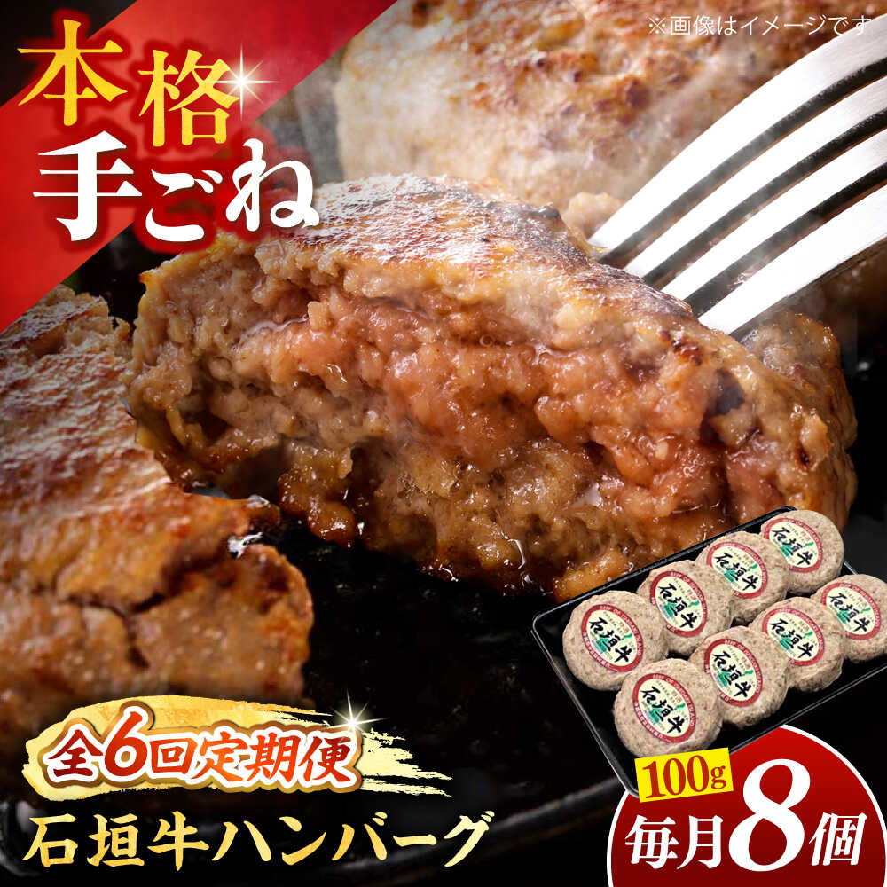 【ふるさと納税】【全6回定期便】沖縄県産石垣牛ハンバーグセット 800g (100g×8個) 牛 ハンバーグ 冷凍 ギフト お取り寄せ 父の日 沖縄市 / お肉屋本店[BCAZ013]