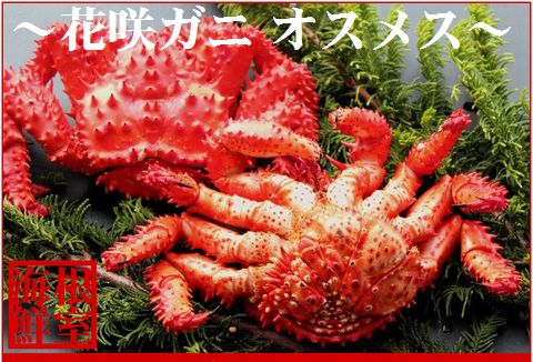 【北海道根室産】花咲ガニオスメス4～6尾(計4kg) D-57002