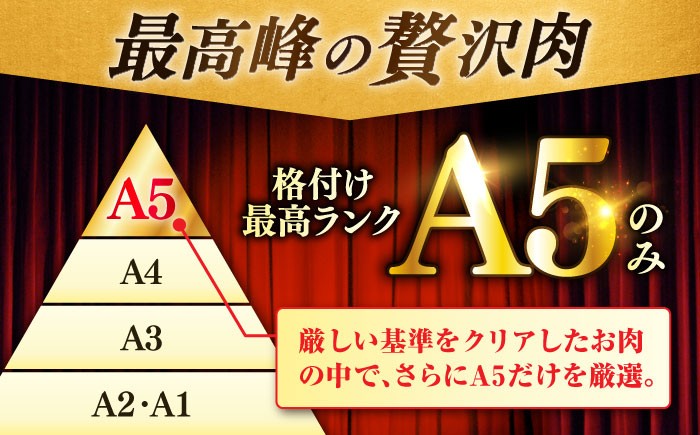 牛肉 肉 黒毛和牛 佐賀牛 和牛 佐賀 牛 A5 国産 料理 焼肉 冷凍 保存 赤身 赤身ステーキ バーベキュー
