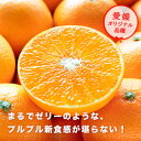 【ふるさと納税】 産地直送 国安さんちの 愛媛まどんな 贈答用 約 5kg 【F20-31】_ みかん ミカン 蜜柑 柑橘 柑橘類 マドンナ 紅まどんな フルーツ 果物 くだもの 人気 美味しい 愛媛県 八幡浜市 ふるさと 【1340000】