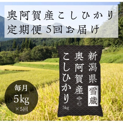 【発送月固定定期便】新潟県奥阿賀産こしひかり 精米5kg全5回【4054307】