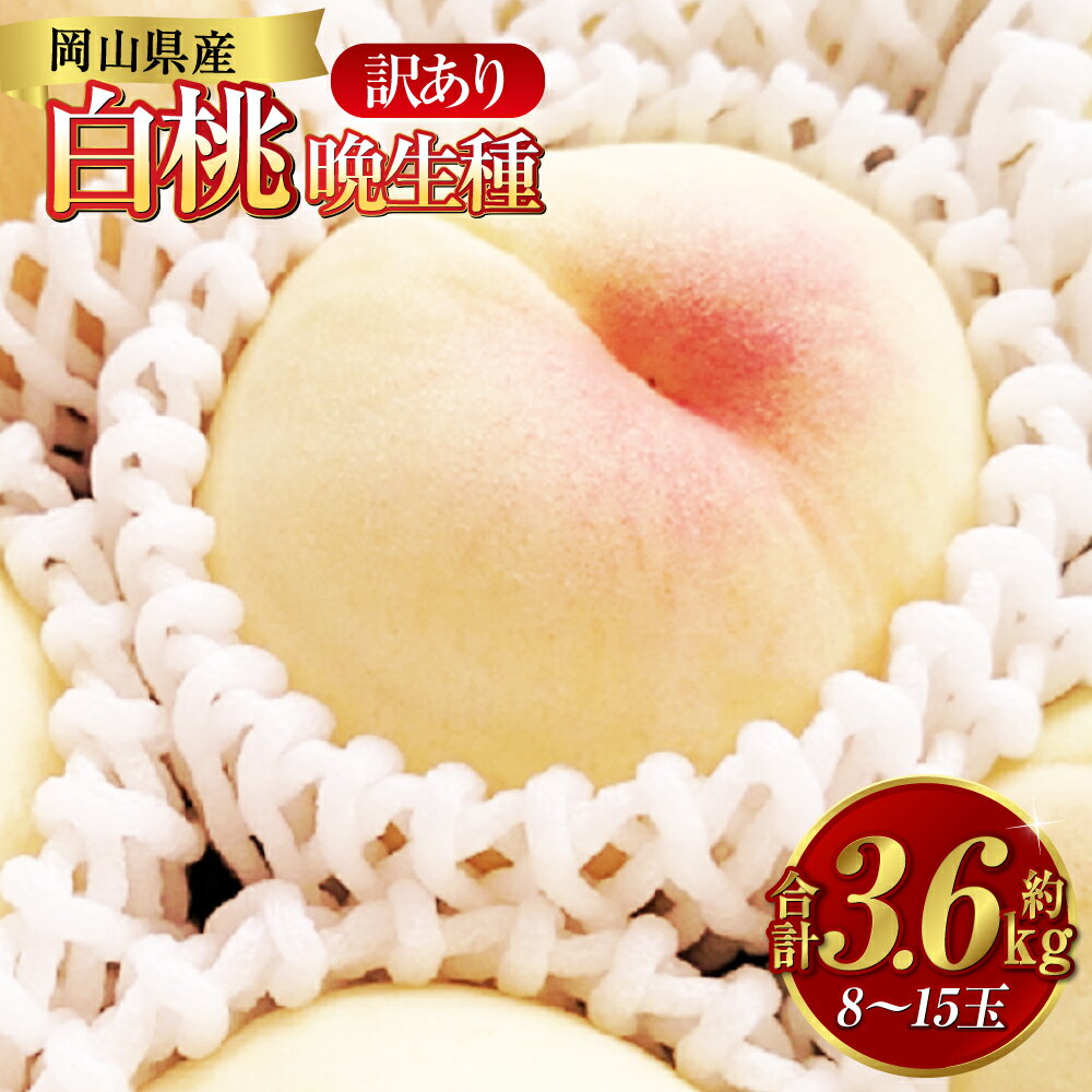 【ふるさと納税】《訳あり》白桃 約3.6kg（8～15玉） 晩生種 もも モモ 岡山県 倉敷市 産 国産 フルーツ 果物 花田青果　果物・もも・桃・フルーツ　【2026年7月下旬～9月下旬迄順次発送予定】 15000円 1万5000円