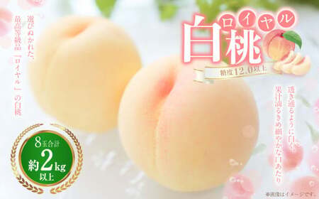 白桃 8玉（2kg以上） 等級：ロイヤル 化粧箱入り 【2026年7月上旬～8月上旬迄発送予定】 桃 モモ もも 果物 くだもの フルーツ 冷蔵 国産