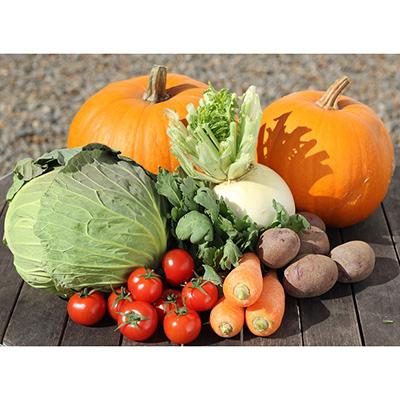 ふるさと納税 世羅町 世羅高原季節の野菜詰め合わせ(10品程度)