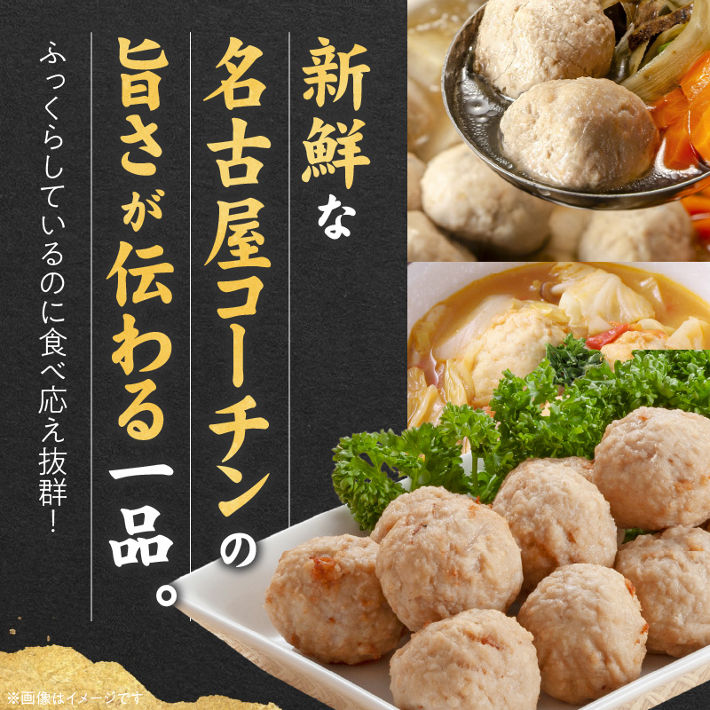 『親どり名古屋コーチン』肉だんご