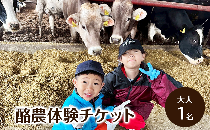 酪農体験チケット 大人1名 【 体験チケット 酪農 北海道 幕別町 牛 搾乳 牧場 自然 】
