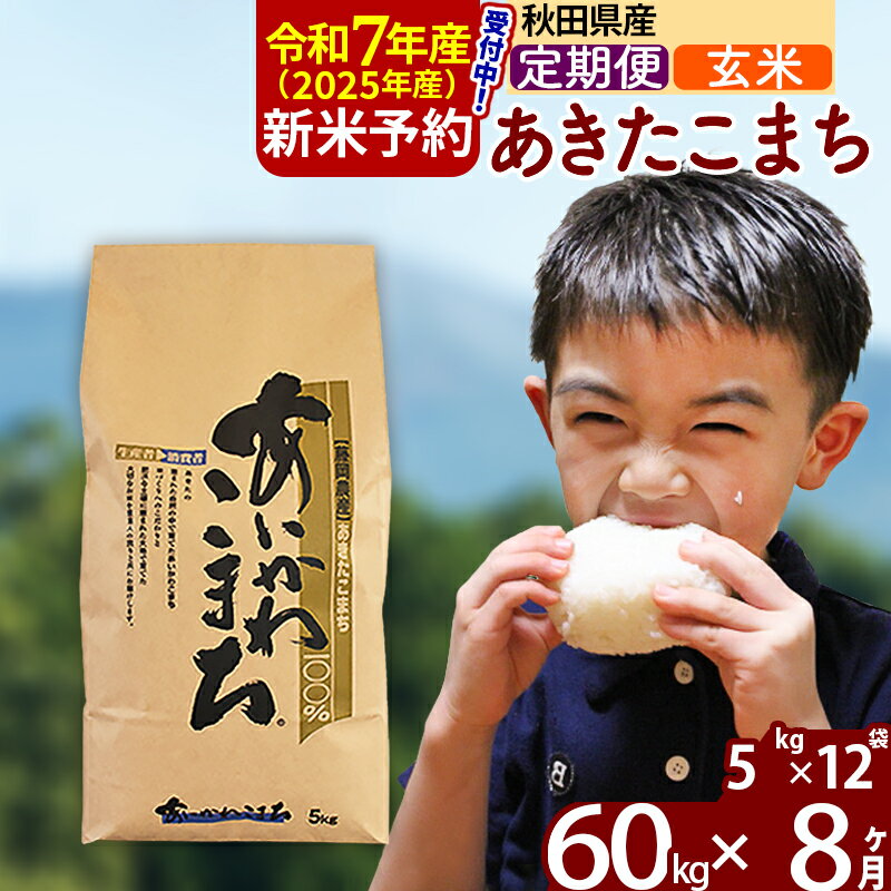 【ふるさと納税】※令和7年産 新米予約※《定期便8ヶ月》秋田県産 あきたこまち 60kg【玄米】(5kg小分け袋) 2025年産 お届け周期調整可能 隔月に調整OK お米 藤岡農産