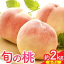 【ふるさと納税】【先行予約】桃 約2kg（6-9玉） 岸武青果株式会社《2025年6月末-8月末頃出荷》 和歌山県 紀の川市 桃山町 もも モモ 果物 フルーツ