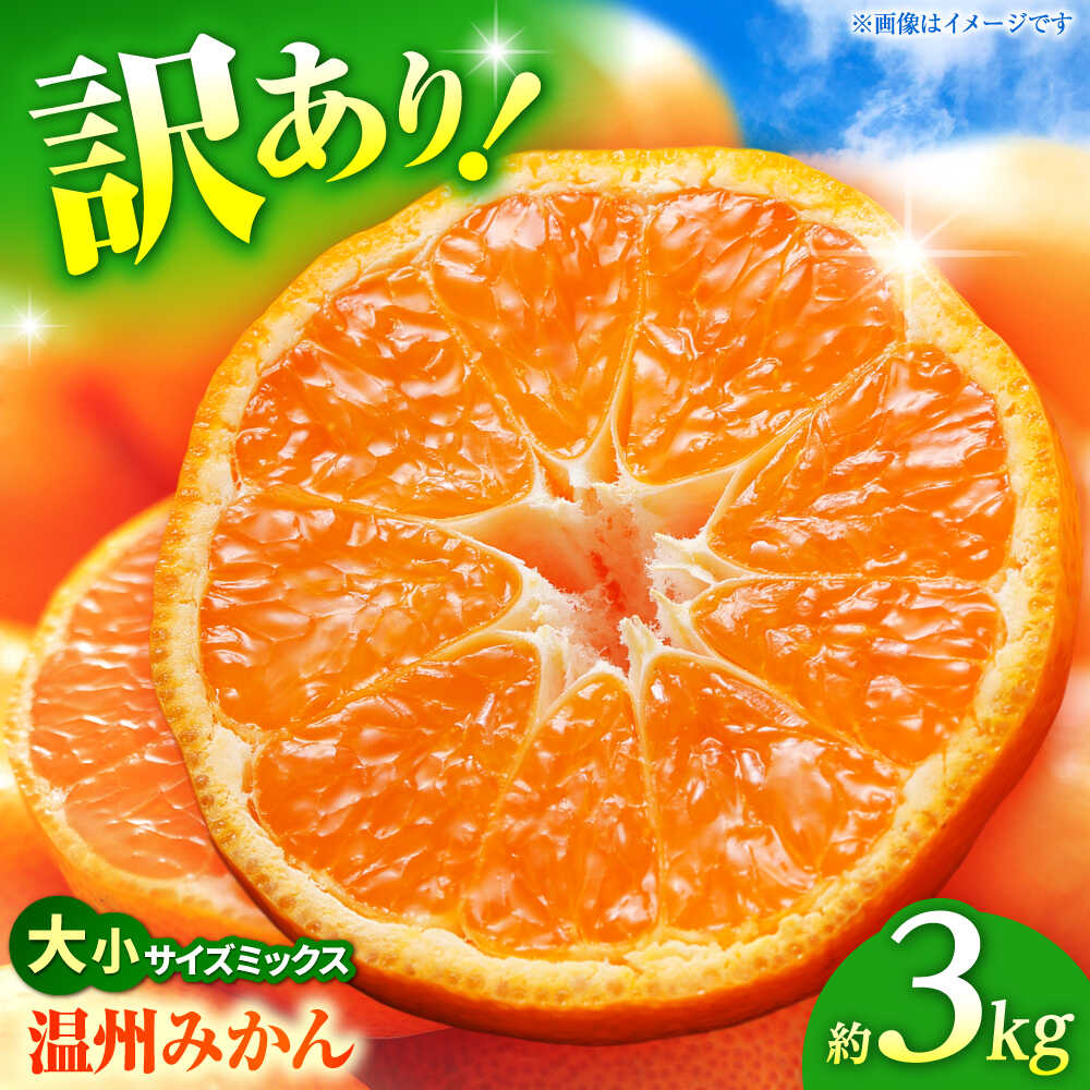 【ふるさと納税】【先行予約】 温州みかん 訳あり サイズミックス 3S-3L 約3kg みかん 蜜柑 サイズ 不選別 家庭用 柑橘 フルーツ 果物 【日本フルーツ株式会社】[ZFJ049]