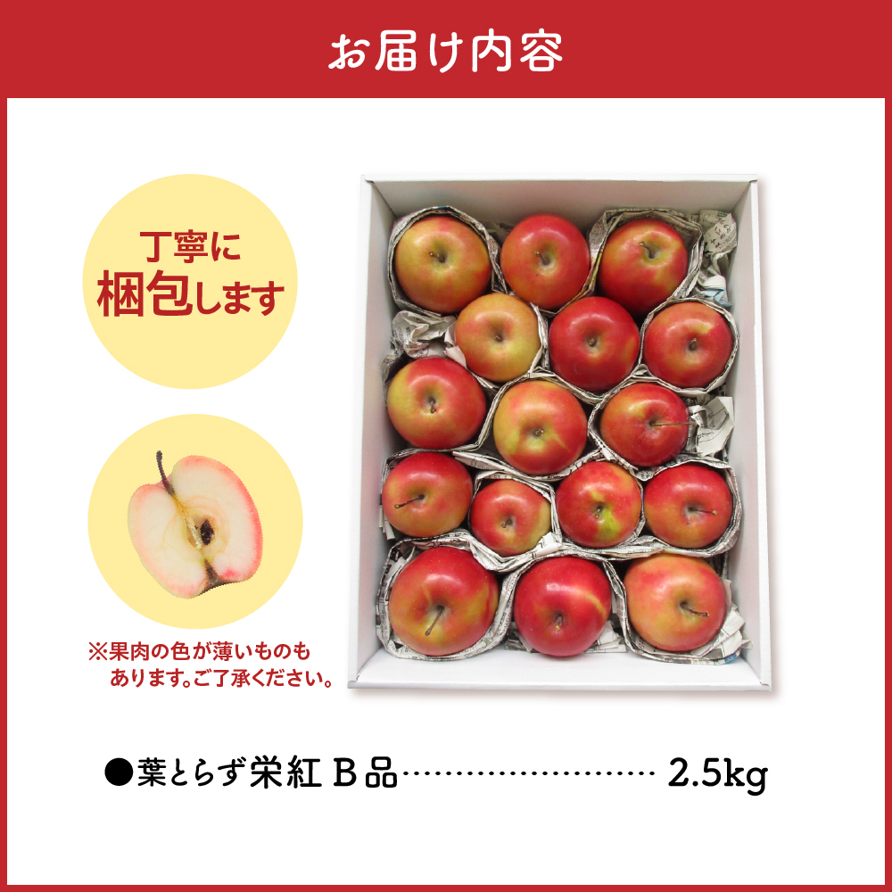 【ANA限定】中まで赤～いりんご<栄紅>【2025年12月上旬発送】 葉とらずりんご 訳あり 約2.5kg 不揃い B品 家庭用 青森県 五所川原市 りんご リンゴ