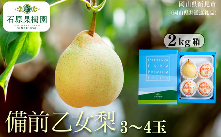 備前乙女梨 2kg箱 赤秀 3～4玉入り 【先行予約 2026年11月中旬から順次発送】