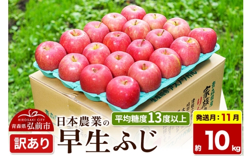 【26年11月発送】りんご 早生ふじ【訳あり】約10kg 平均糖度13度以上 青森 果物 フルーツ 林檎 リンゴ くだもの 不揃い 規格外 [先行受付 家庭用 産地直送 アップル 青森県 弘前市]