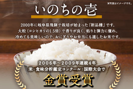 令和5年産 特別栽培米 いのちの壱(白米) 20kg(10kg×2袋) 雑穀米付き《90日以内に出荷予定(土日祝除く)》 熊本県 南阿蘇村 熊本県産 虹色のかば 白米 雑穀米