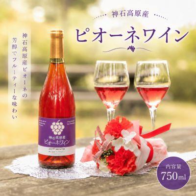 ふるさと納税 神石高原町 ピオーネワイン 750ml