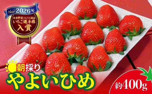 いちご やよいひめ 2026年全国いちご選手権入賞 400g × 1パック｜イチゴ 苺 高品質 たっぷり 新鮮 完熟 旬 ストロベリー 高級 産地直送 果汁 甘い あまい 人気 高評価 高糖度 ごほうび プレゼント あすかファーム 群馬県 前橋市