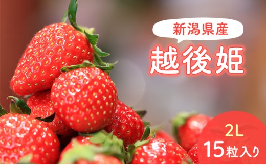 
                  【予約受注】2026年2月下旬より発送　新潟県産越後姫2L　15粒入り 
                