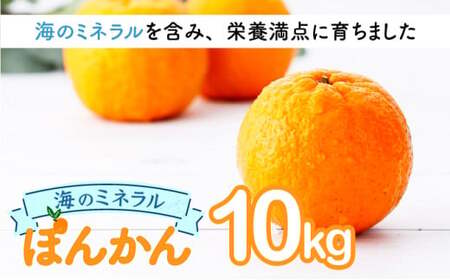 【先行予約】ポンカン 海のミネラルをたっぷり含んだ甲浦のポンカン 10kg 国産 東洋町産 甘い 栄養たっぷり ジューシー フルーツ 蜜柑 ミカン 果肉 四国 お取り寄せ フルーツ 果物 家庭用 自宅用 送料無料【畠口農園（畠口　伸二）】