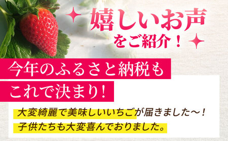 【先行予約】産地直送！白石産 いちごさん（約150g×6パック） /甘いいちご 大容量パックいちご イチゴ 苺  佐賀県産いちご ブランドいちご 少ない酸味のいちご 上品な甘さのいちご いちご イチゴ