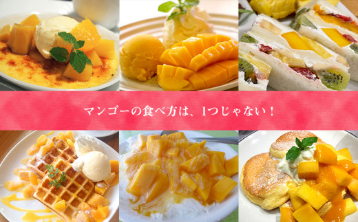 【先行受付】【2025年発送】ヤマト農園 アップルマンゴー訳あり約2kg（4～6玉）- 先行予約 沖縄県産 産地直送 南国フルーツ 旬の味覚 季節の果物 ご自宅用 訳アリ 沖縄マンゴー 沖縄県 八重瀬