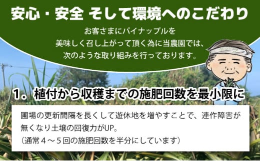 【2026年発送】ゴールドバレルビッグな２玉セット