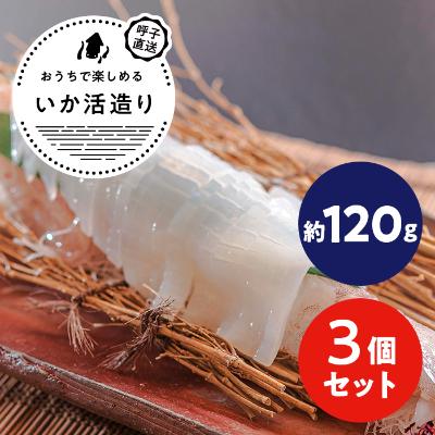 ふるさと納税 唐津市 【CAS凍結】呼子剣先いか活き造り　約120g×3パック |  | 01