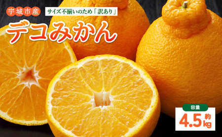 先行予約 訳あり デコみかん 4.5kg【2027年1月中旬-2027年4月下旬発送予定】  家庭用 規格外 フルーツ みかん 果物 果物 旬