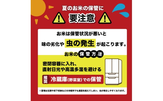 令和8年産 コシヒカリ 白米 4ヵ月連続 定期便 5kg × 4回 20kg 