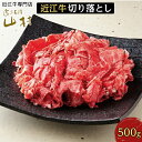 【ふるさと納税】肉 牛肉 近江牛 切り落とし 500g | お肉 牛 滋賀 高級 ブランド 黒毛和牛 切り落し 切りおとし 切落し ギフト 冷凍 人気 おすすめ 国産 お取り寄せ グルメ