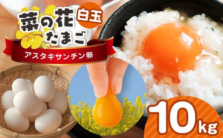 2週間以内に発送 新鮮 ★【 白玉 LM 10kg入り】君津市産 菜の花エッグ アスタキサンチン 菜の花たまご | 早く届く すぐ すぐ発送 卵 たまご タマゴ　鶏卵 玉子 白 こだわり 卵かけご飯 たまご焼き オムレツ とろける お菓子作り 新鮮 食卓 オススメ 千葉県 君津市 きみつ 株式会社菜の花エッグ