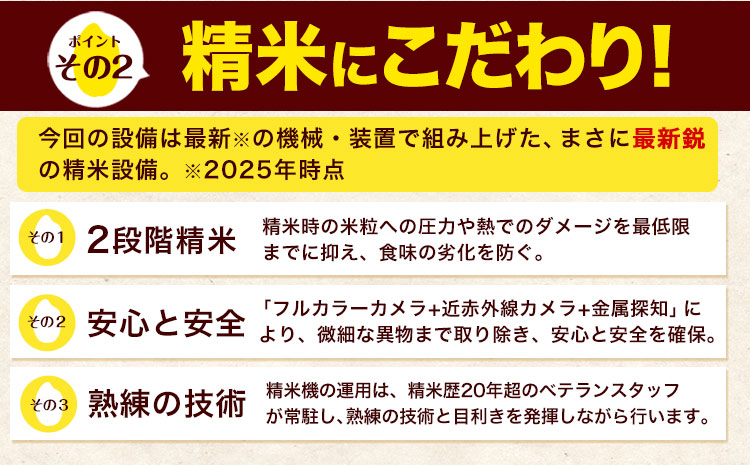 令和6年産  森のくまさん 15kg 5kg × 3袋  白米 熊本県産 単一原料米 森くま《1月中旬-1月末頃出荷予定》送料無料---ng_mk6_j1_24_29000_15kg_h---