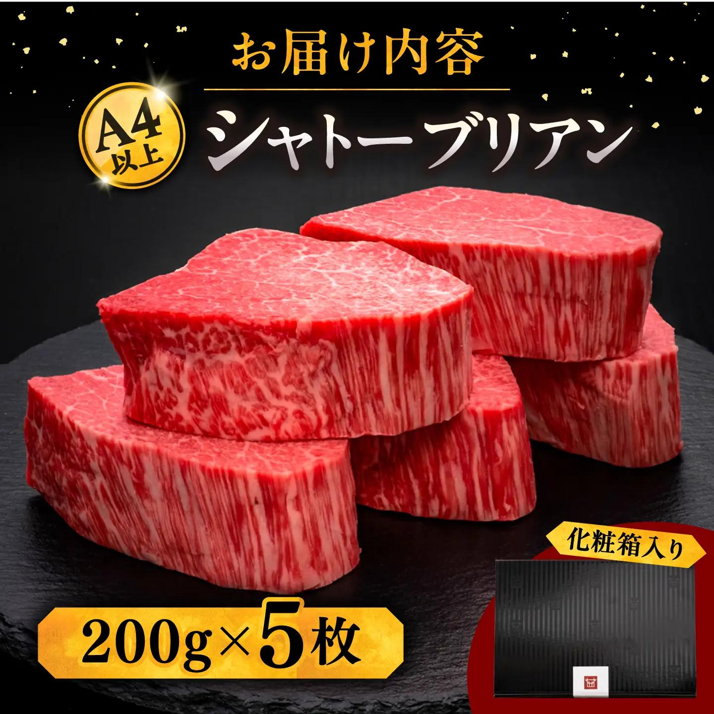シャトーブリアン  ヒレ  200g×5 [ADBM031] シャトーブリアン ヒレステーキ