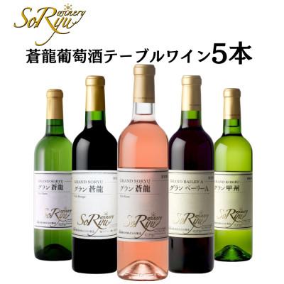 ふるさと納税 甲州市 蒼龍葡萄酒のスタンダードワイン赤白ロゼ5本セット