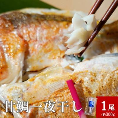 ふるさと納税 大田市 「一日漁」甘鯛一夜干　1尾(約300g)　(A194)