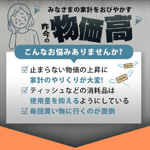 【ふるさと納税】 ティッシュ ティッシュペーパー「 大容量 ANIMAL BOXティッシュ 定期便 2パック (ケース10個入り) 全3回(毎月)」[ 動物柄 アニマル柄 常備品 生活用品 まとめ買い
