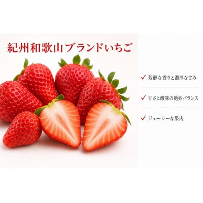 紀州和歌山ブランドいちご「紀の香」約250g×4P【配送不可地域：離島・北海道・沖縄県】