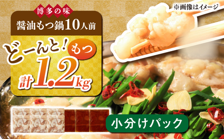 醤油もつ鍋10人前 [ABBP007]もつ鍋 モツナベ