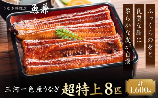 ＜三河一色産うなぎ＞　超特上8匹　（計1600g）老舗　和食　魚兼　国産　高級